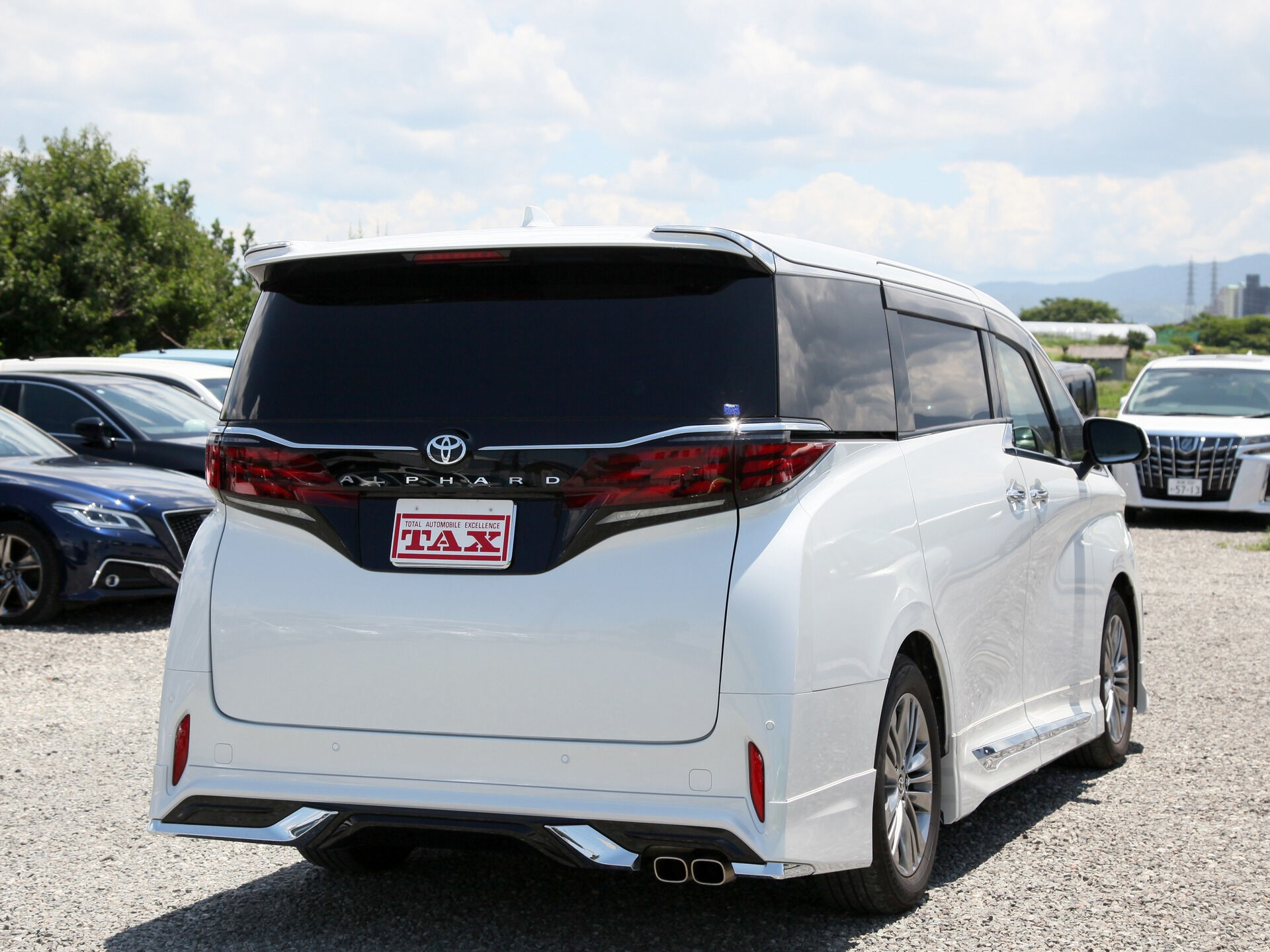 令和6年式 アルファード入庫しました🚗✨