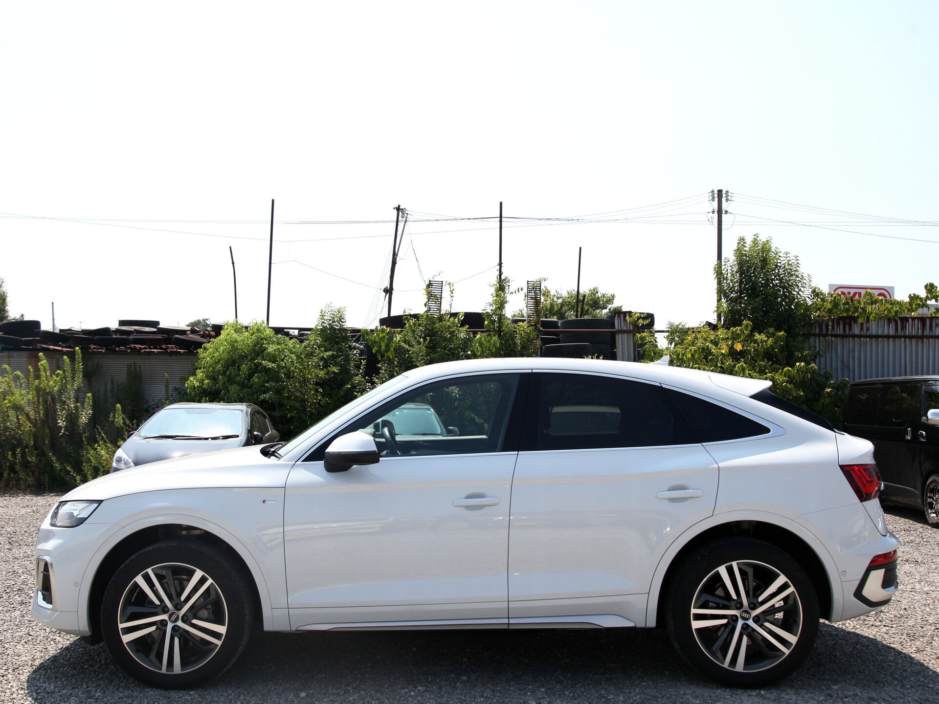 令和5年式 アウディ Q5 スポーツバック入庫しました🚗✨