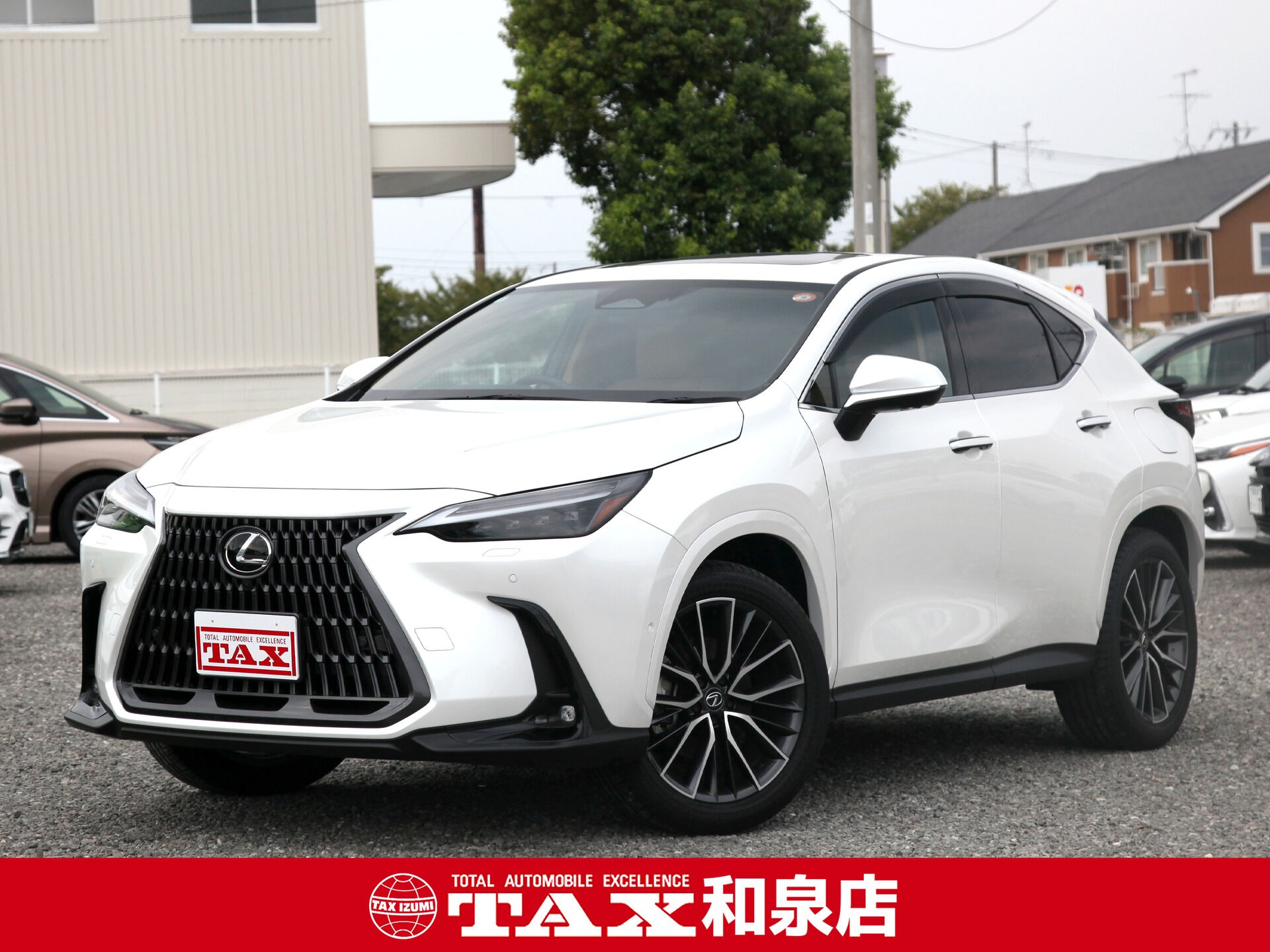 令和6年式 レクサスNX入庫しました🚗✨