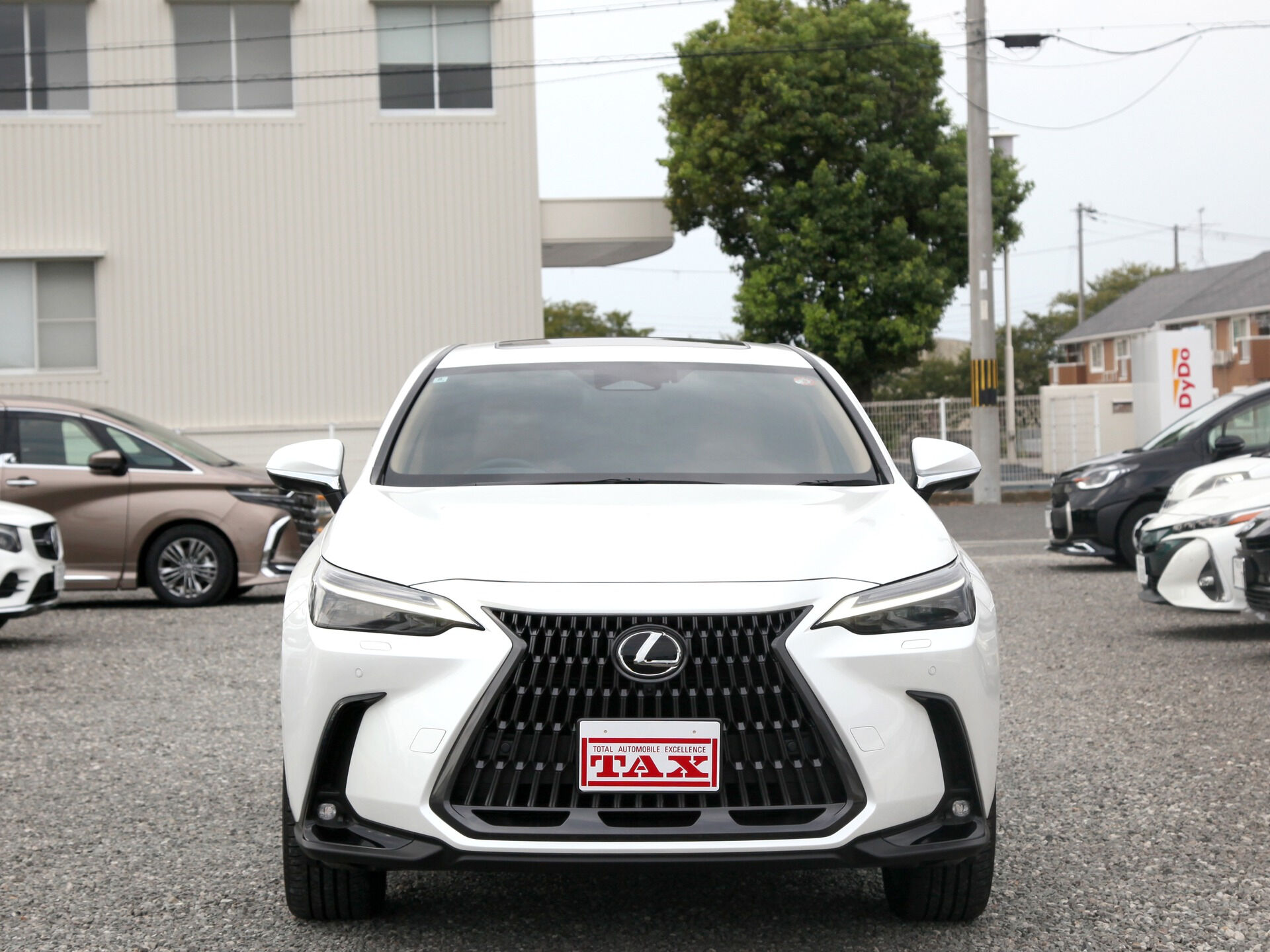令和6年式 レクサスNX入庫しました🚗✨