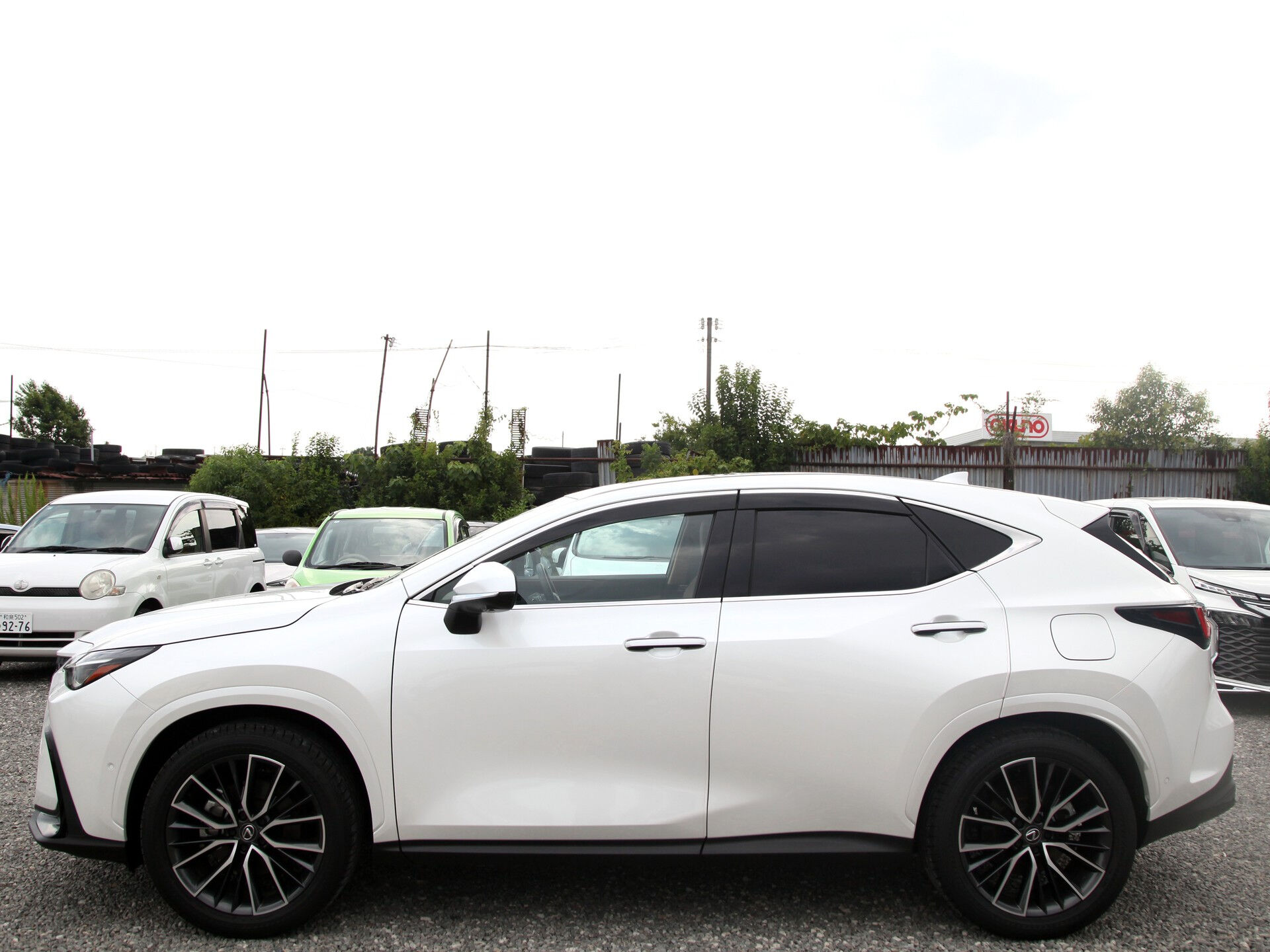 令和6年式 レクサスNX入庫しました🚗✨