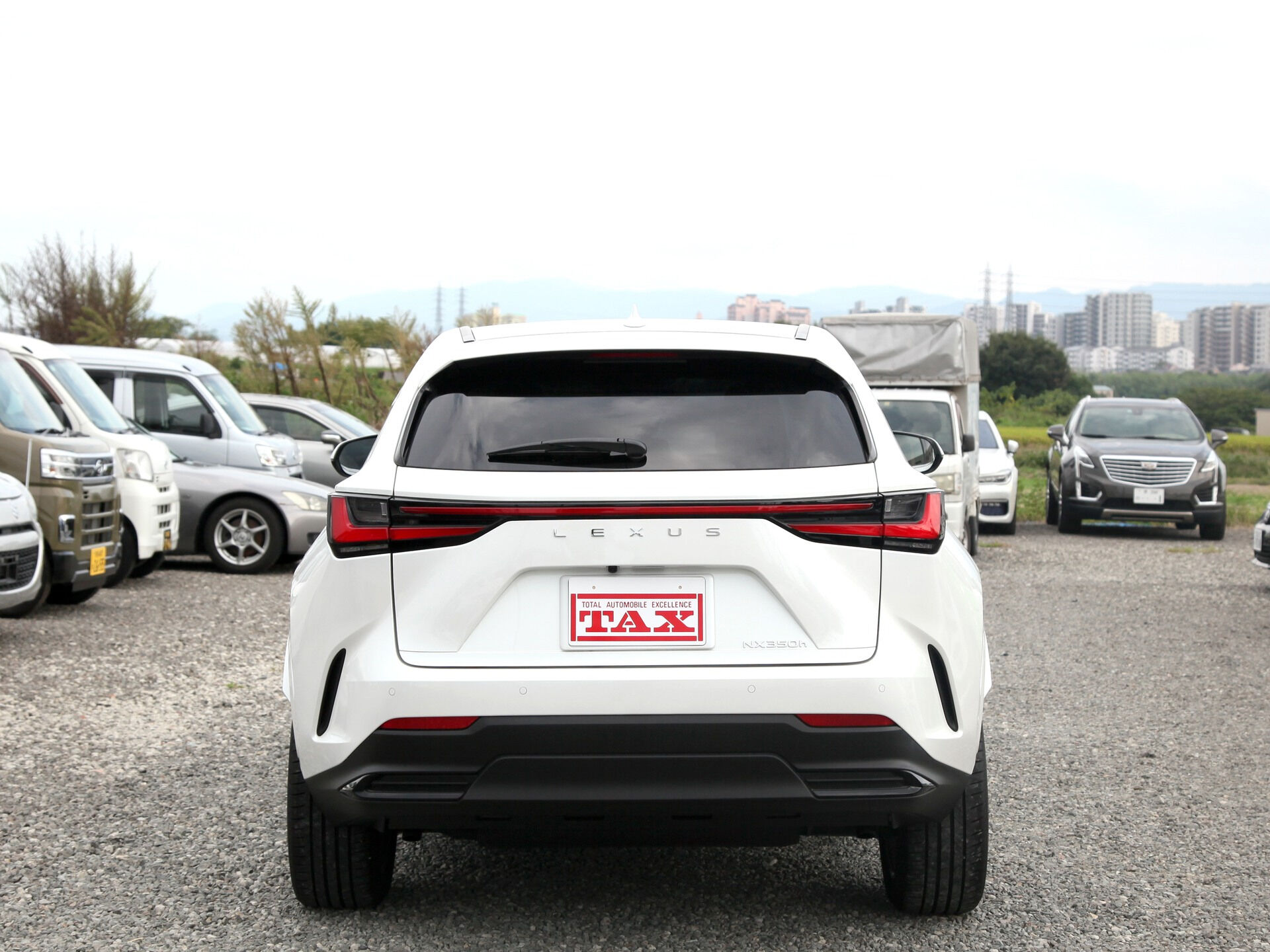 令和6年式 レクサスNX入庫しました🚗✨