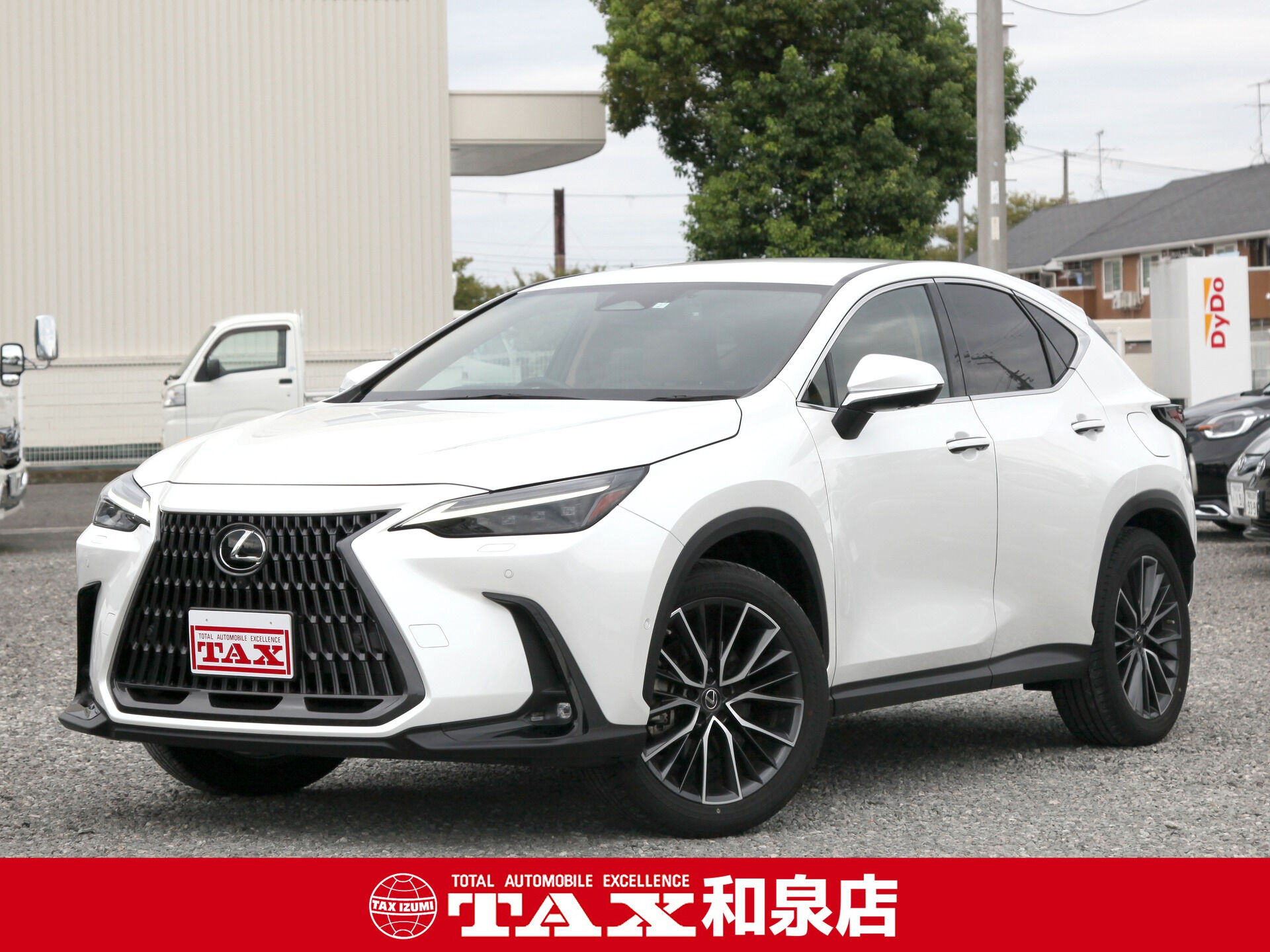 令和5年式 レクサスNX入庫しました🚗✨
