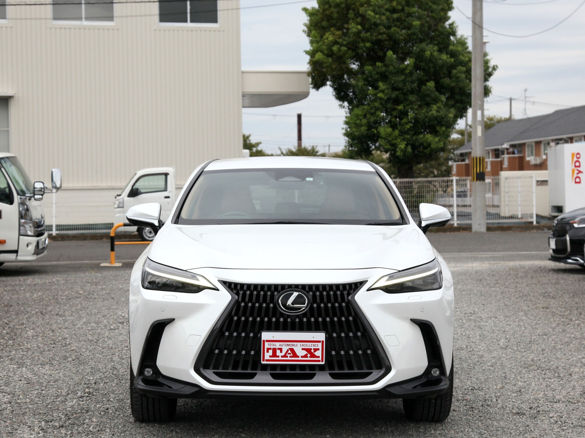 令和5年式 レクサスNX入庫しました🚗✨