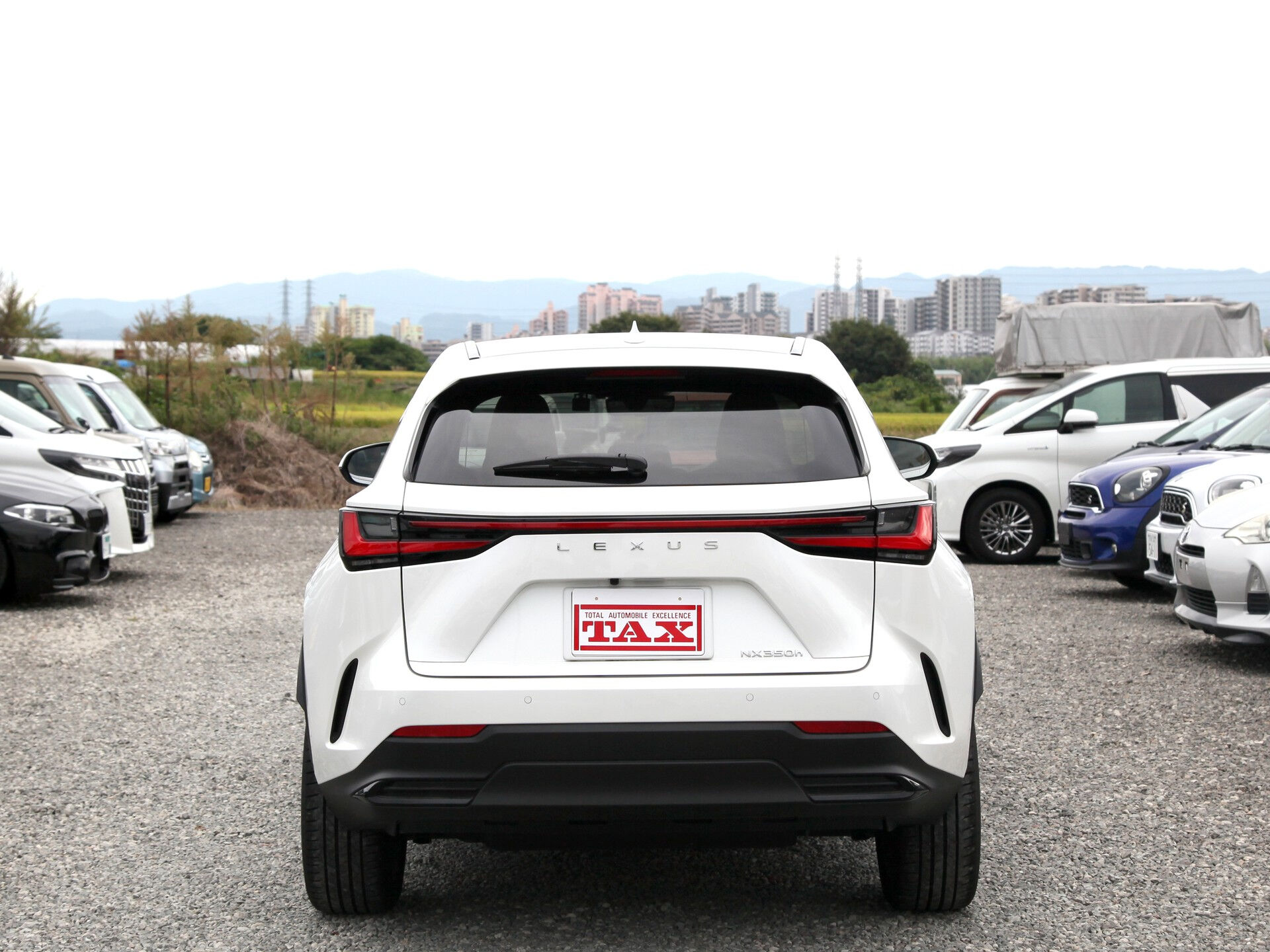 令和5年式 レクサスNX入庫しました🚗✨
