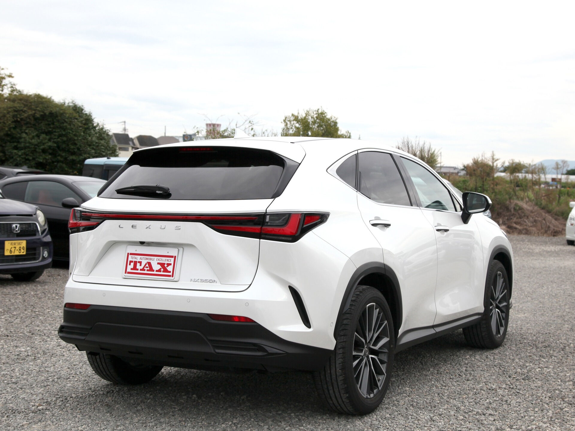 令和5年式 レクサスNX入庫しました🚗✨