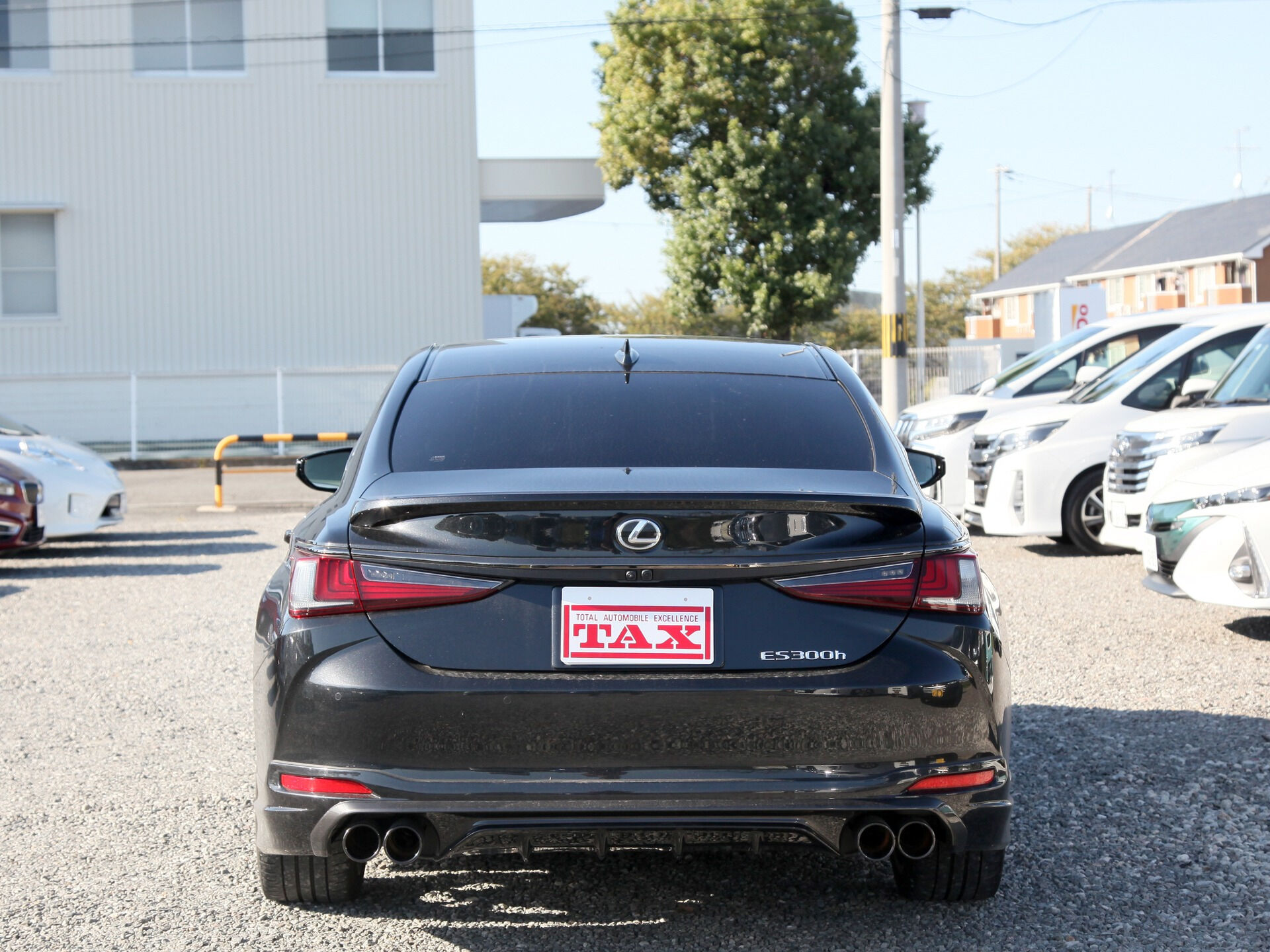 令和5年式 レクサスES入庫しました🚗✨
