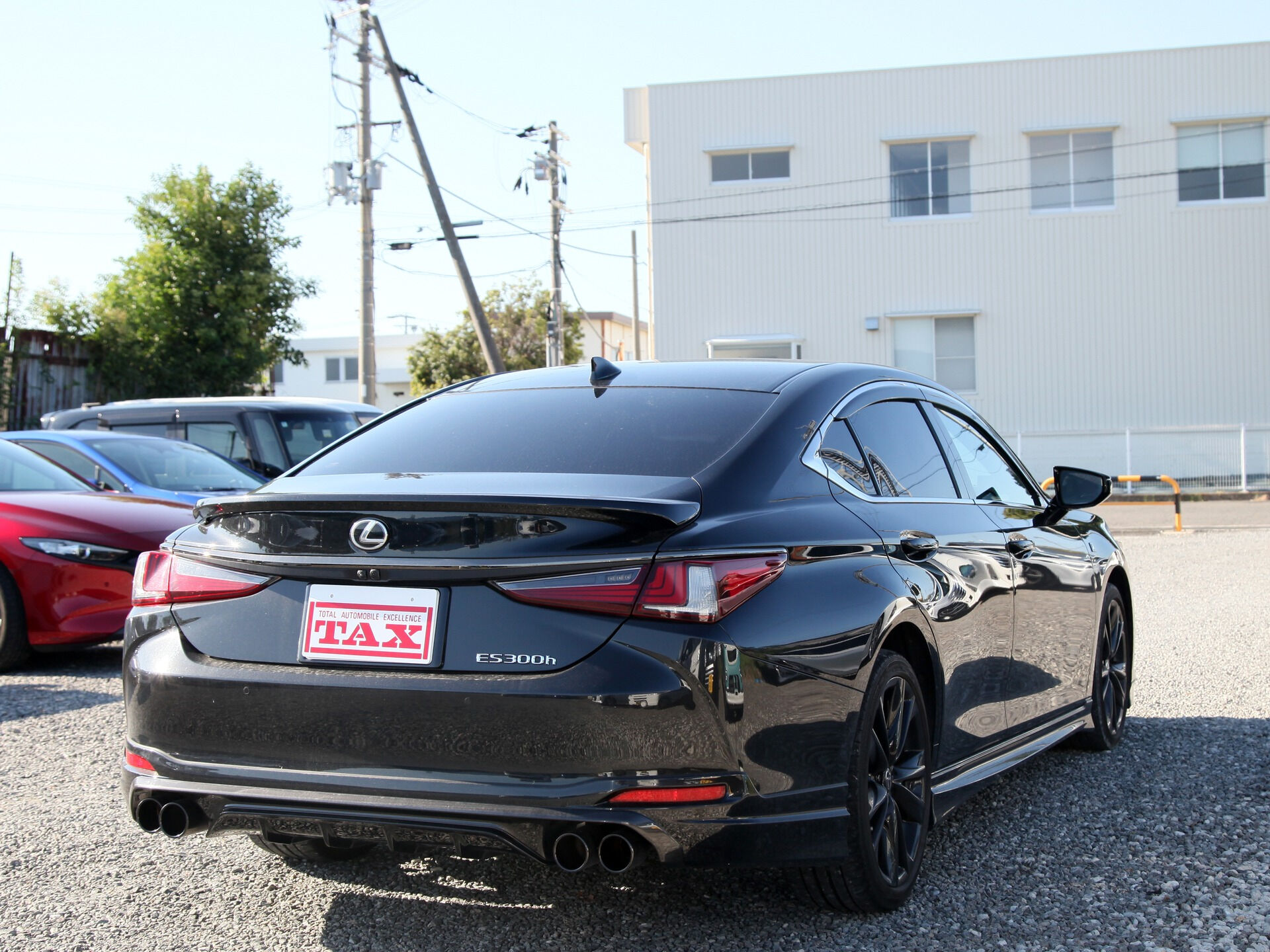 令和5年式 レクサスES入庫しました🚗✨