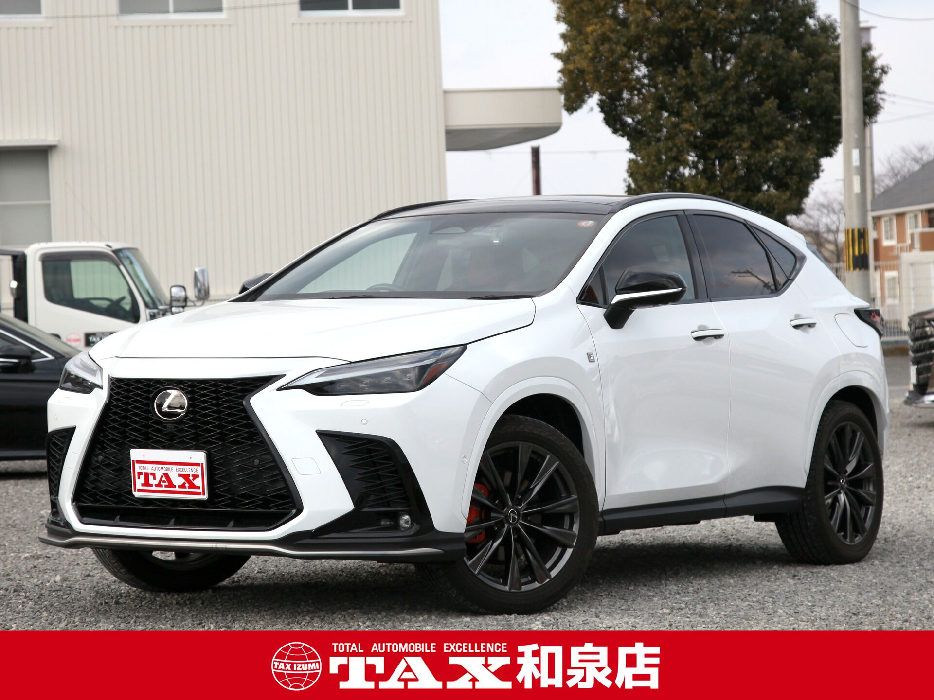 令和4年式 レクサスNX入庫しました🚗✨