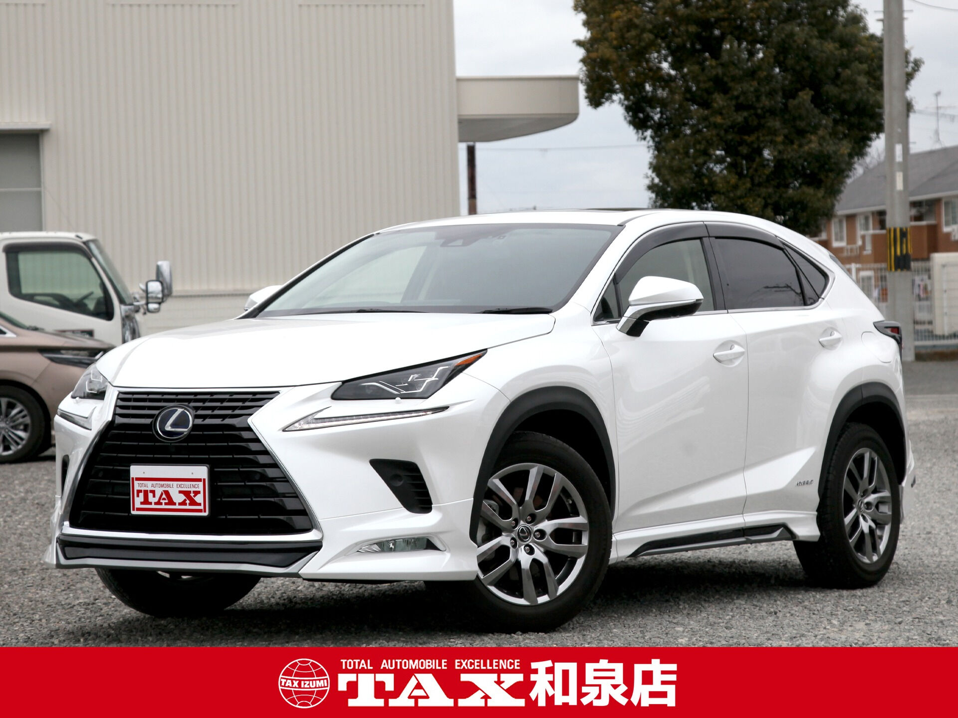 令和1年式 レクサスNX入庫しました🚗✨