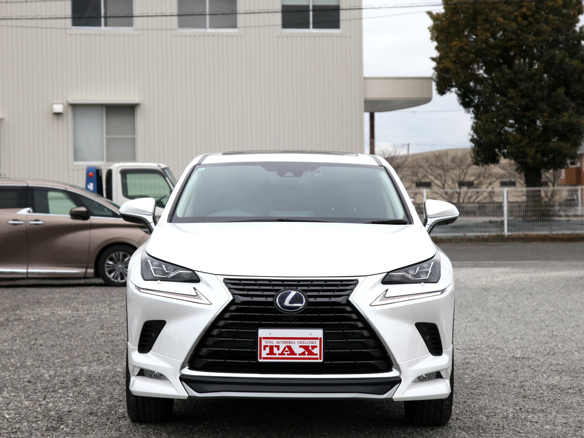 令和1年式 レクサスNX入庫しました🚗✨